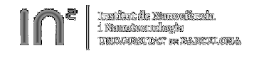 IN2UB - Institut de Nanociència i Nanotecnologia